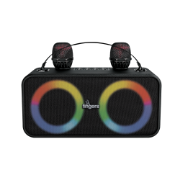 Picture of 2Mic-Karaoke