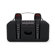 Picture of 2Mic-Karaoke
