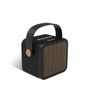 Picture of SoundKing